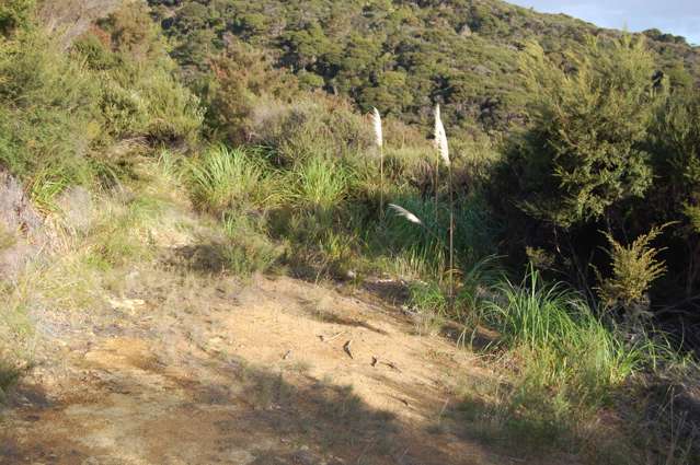 16 Harpoon Hill Great Barrier Island (Aotea Island)_2