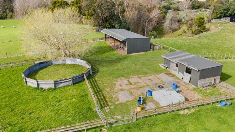 128 Lindsay Road Levin_16