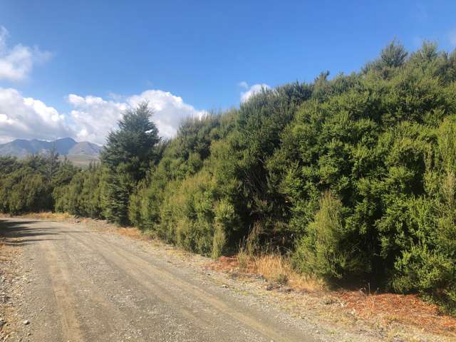 89 Tinline Terrace Mt Lyford_2
