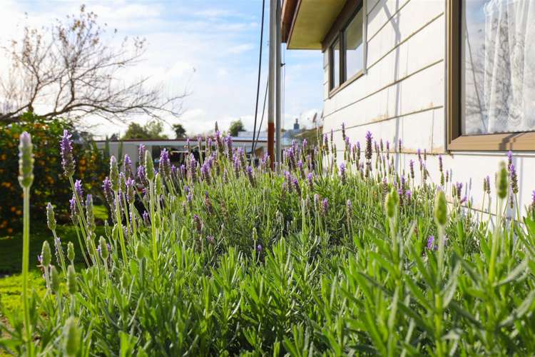 17 Fairmont Street Ngaruawahia_22