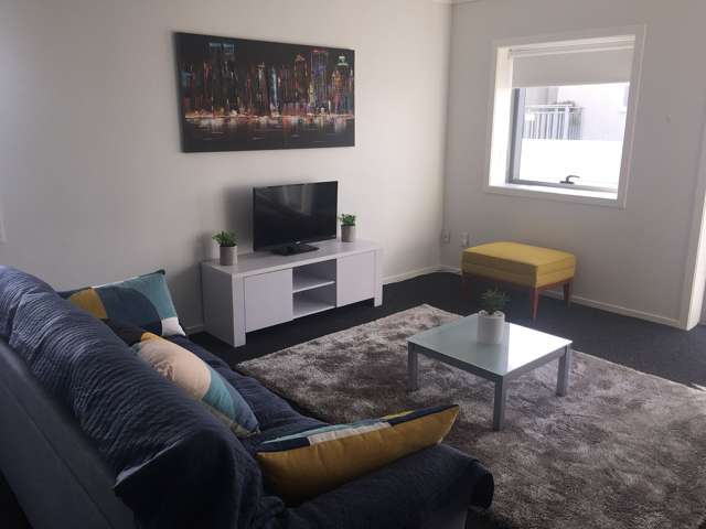 Spacious 1 Brm Apartment Near Viaduct Area