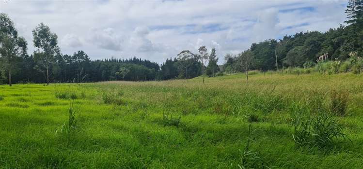 864 Otangaroa Road Kaeo_18