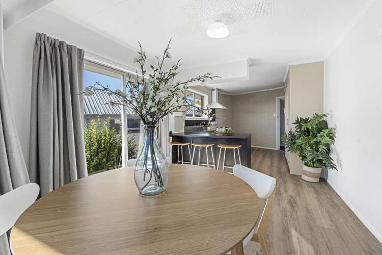 12 Saxton Road Upper Vogeltown_7