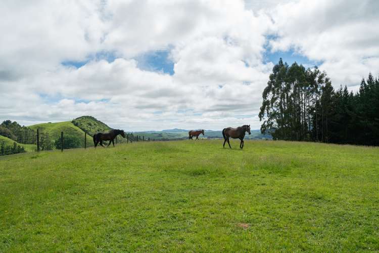 2603 State Highway 41 Kuratau_9