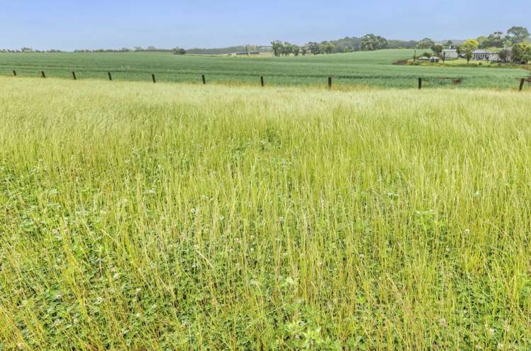 39 Kidd Road Waiuku_7