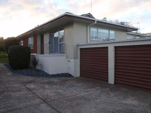 2/133 Campbell Road One Tree Hill_1