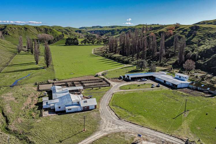 717k Puketitiri Road Puketapu_44