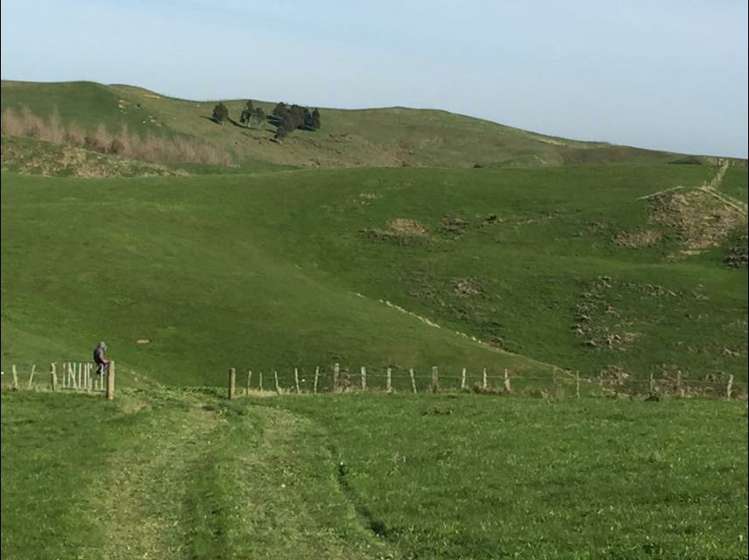 272 Broughton Road Ruawaro_24