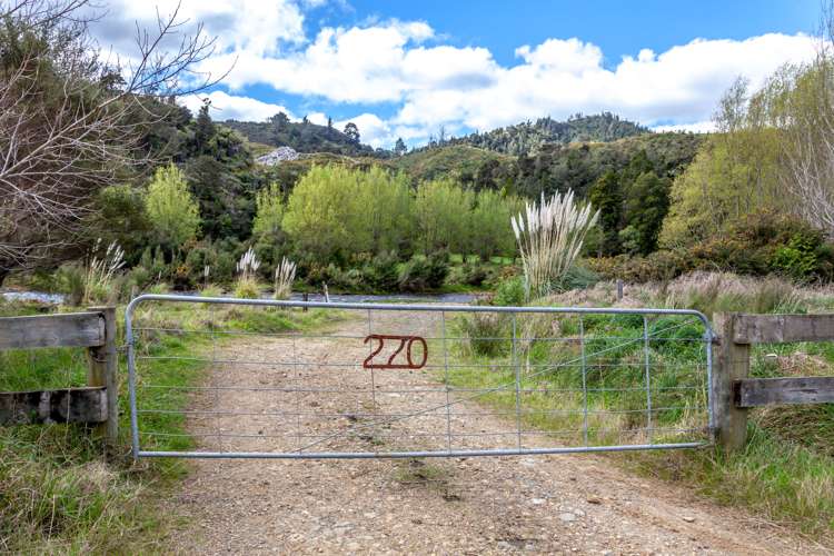 270 Kaimarama Road Kaimarama_21