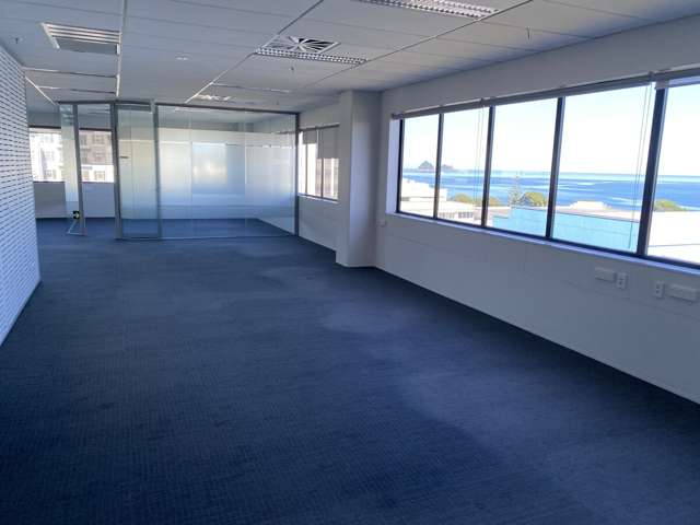 Level 3, 54 Gill Street New Plymouth_3