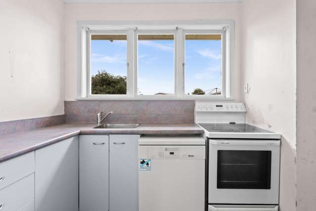 19 Alexander Avenue Onekawa_3