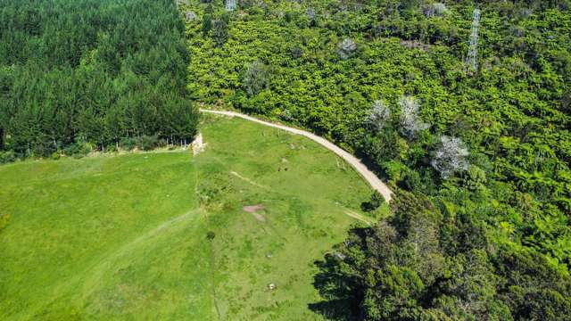 109 McIvor Road Rotoma_1