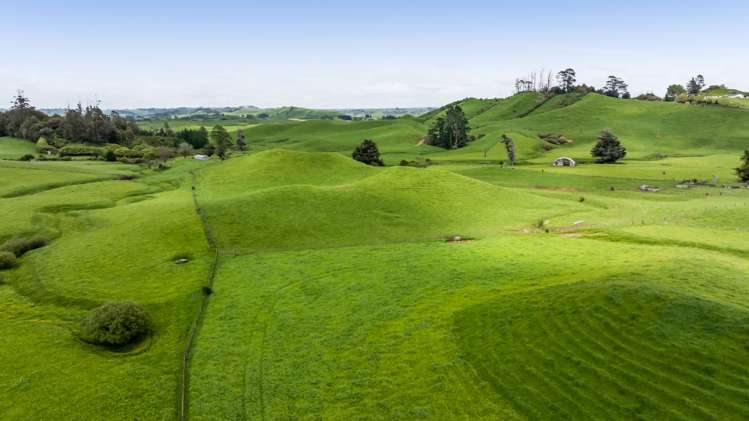 246 Kupara Road Inglewood_7