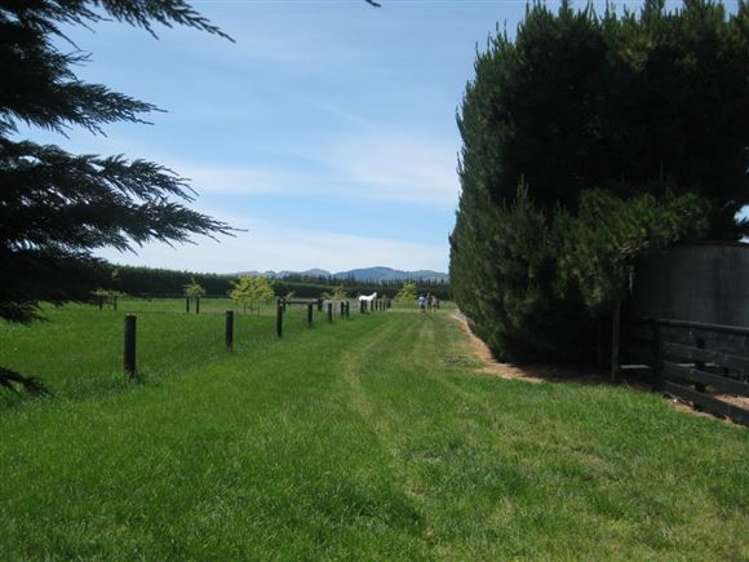 754 Waterholes Road Rolleston_11