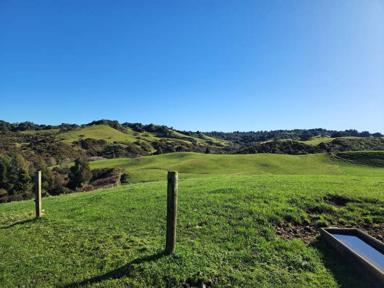 Te Anga Road Waitomo_6