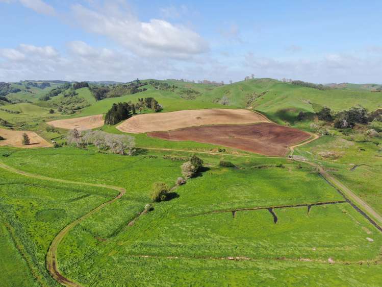 48 Barber Road Otewa_13