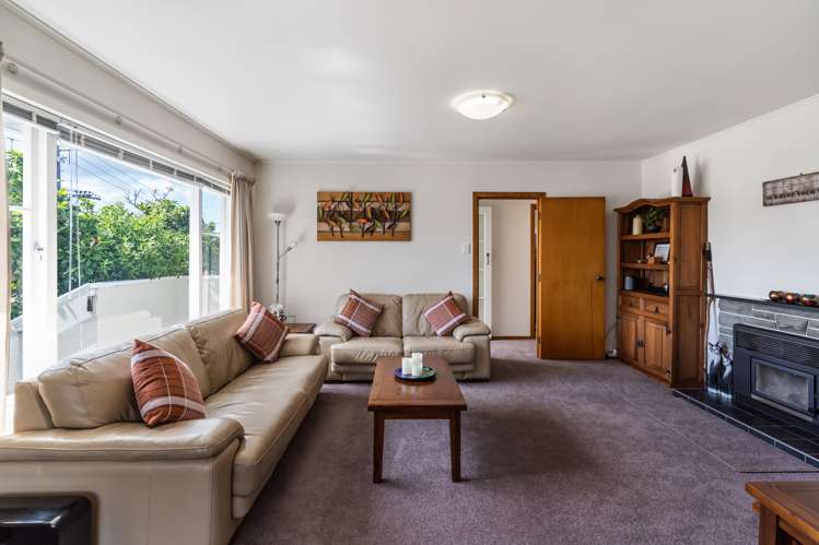 17 Taupo Street Green Bay_3