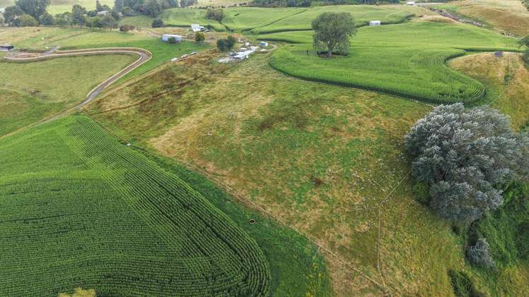 Lot Lot 4 Tapapa Road West Tirau_10