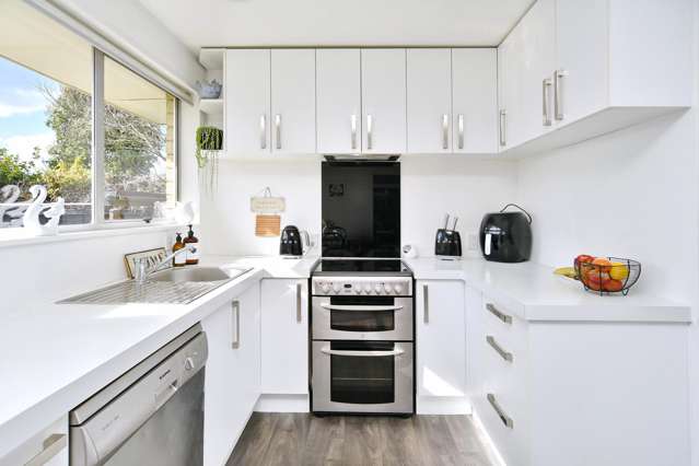 24a Greenock Street Redwood_1