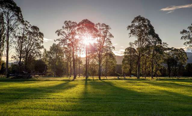 Premium acreage is a kiwi classic