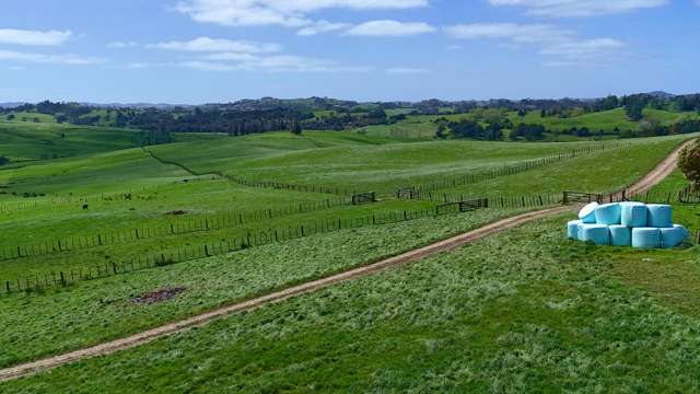 291 Prictor Road Wellsford_2