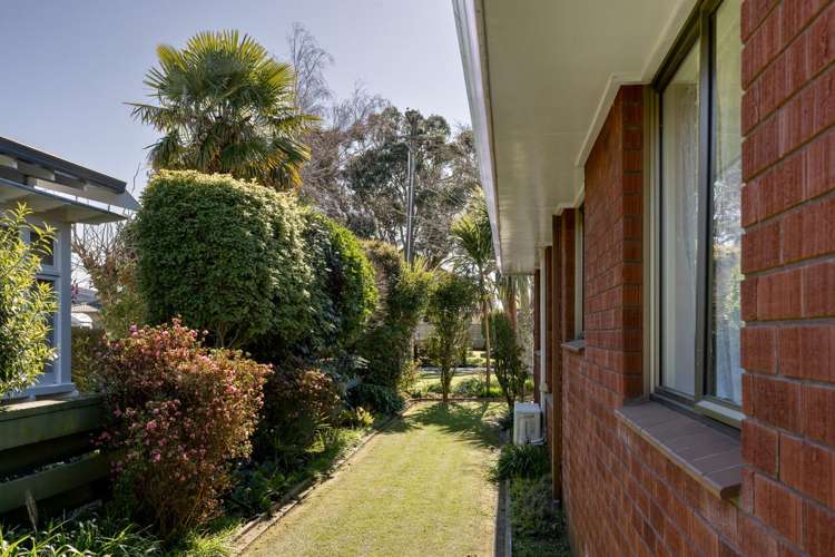 78b Sixth Avenue Tauranga Central_19