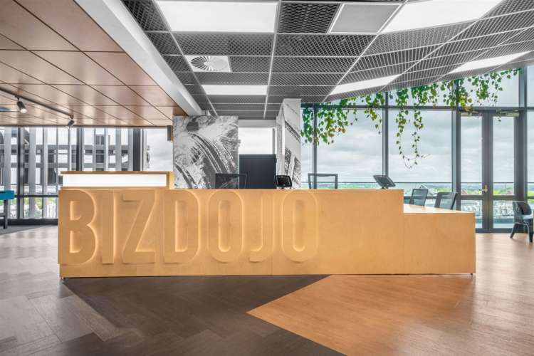 4 Williamson Avenue Ponsonby_1