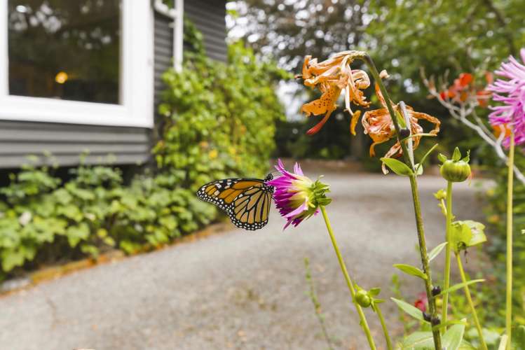 3-5 Rewa Road Raumati Beach_34