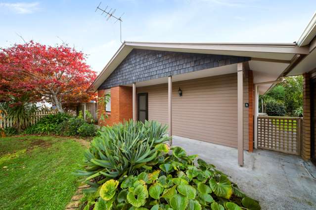 82b Carrington Street Lower Vogeltown_1