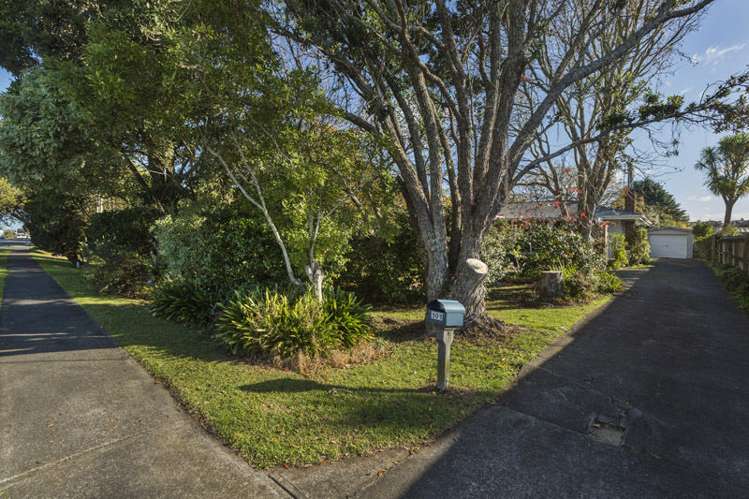 101 Botany Road Botany Downs_8