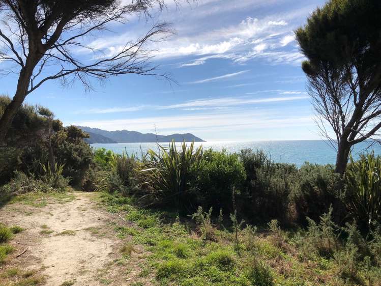 25 Awaroa Bay Awaroa Bay_1