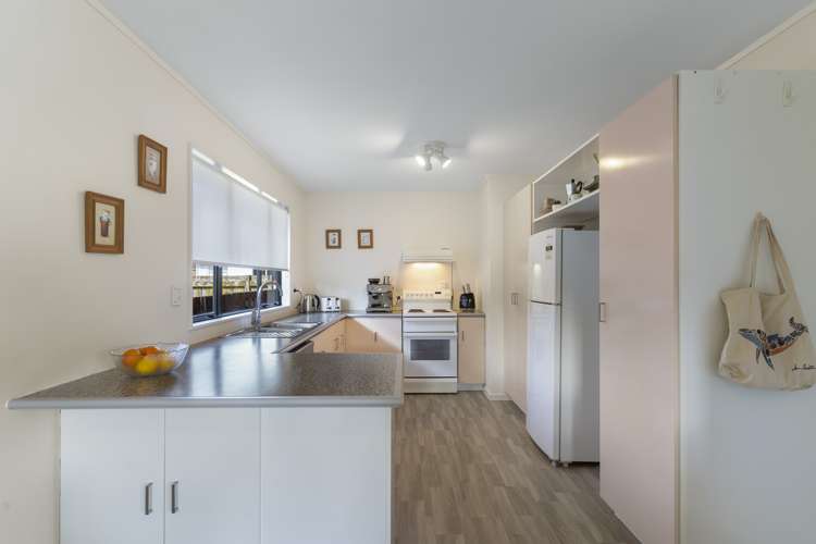 70 Taupo Street Green Bay_7