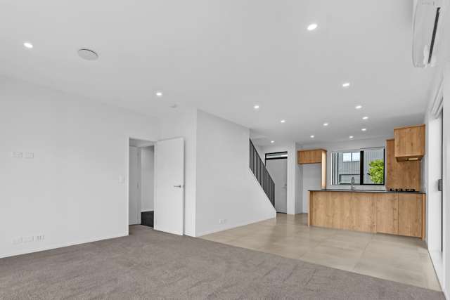 46 Whimbrel Road Flat Bush_3