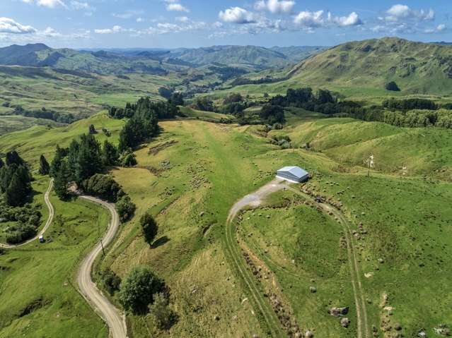 2627 Whakarau Road Motu_3
