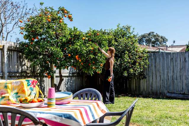 8B Martin Place Whakatane_1