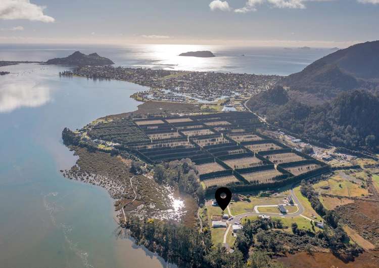 32 North Ridge Drive Pauanui_17
