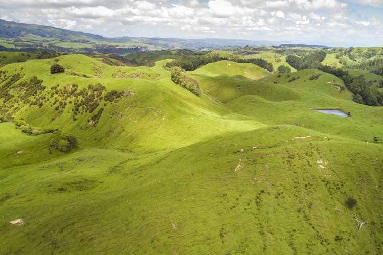 648 Finnis Road Pohangina_15