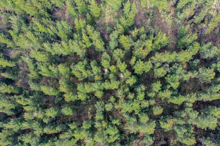 136 Burnt Hill Road Oxford_8