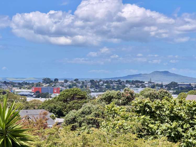 24 Weldene Avenue Glenfield_7