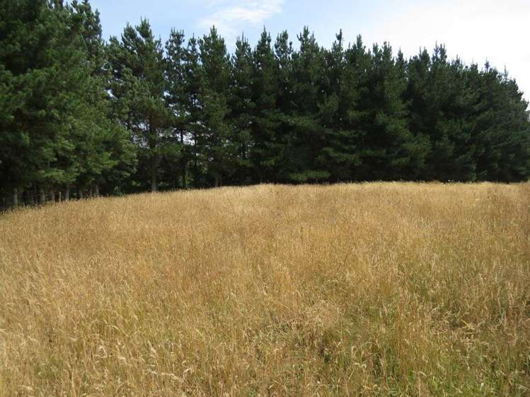 237 Waituna Road Pahiatua_12