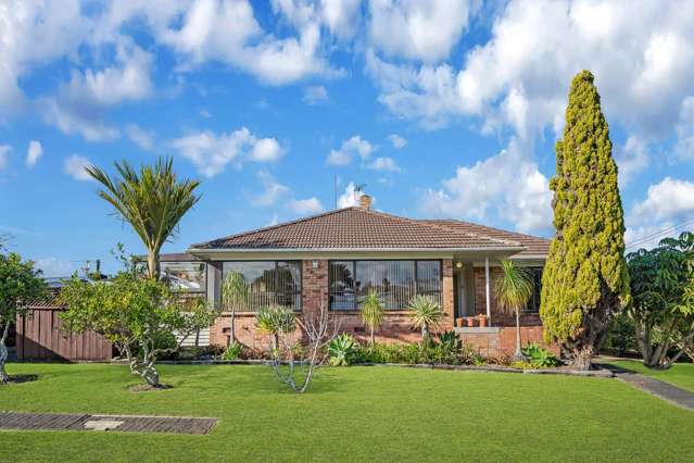 36 Greenmeadows Avenue Manurewa_3