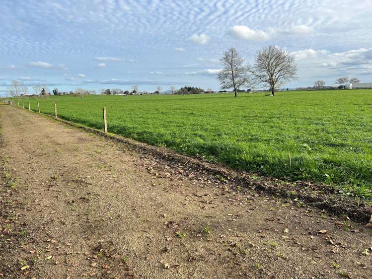 768 Piako Road Gordonton_13