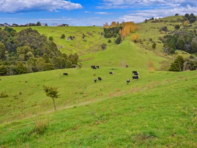 125 Coxhead Creek Road Whangateau_1