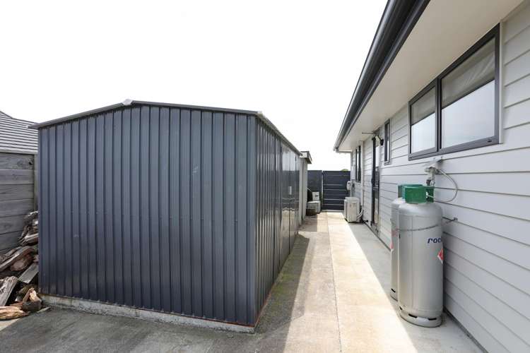 13 George Street Bulls_29