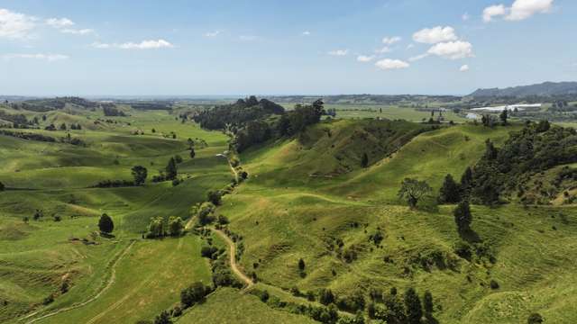 636 Otara Road Opotiki_4