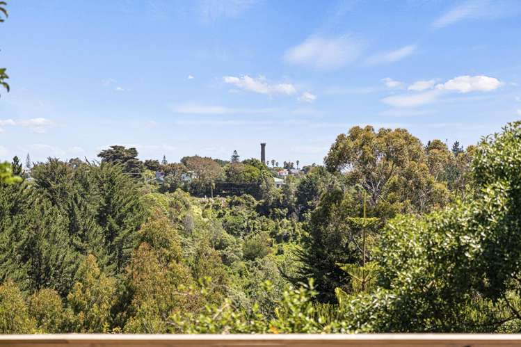 146 Mt View Road Bastia Hill_19