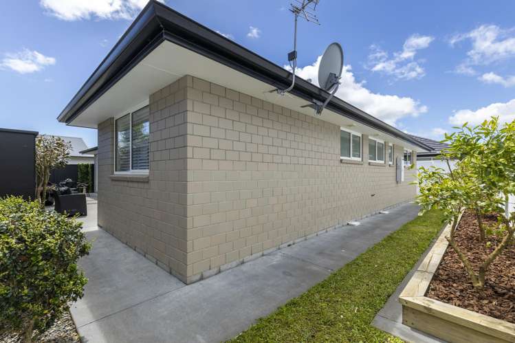 175A Carrington Street Lower Vogeltown_26