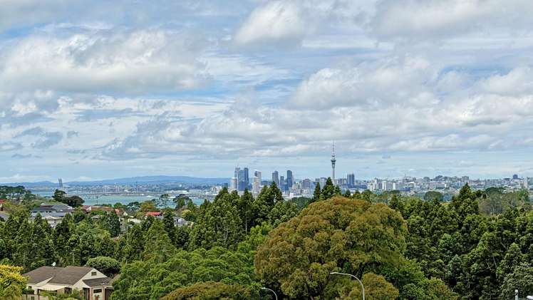 50 Balmain Road Chatswood_25