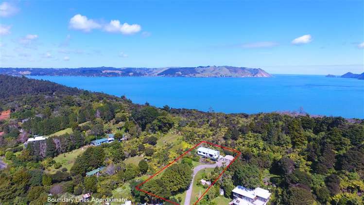 81 Cornwallis Road Cornwallis_19