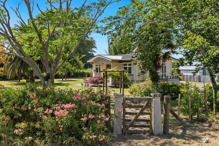 120 Goring Street Opotiki and Surrounds_3